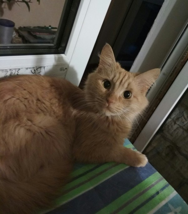 Мда... Не думала, что зарегенюсь на пикабу:D