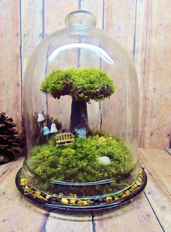 Earth behind glass - Diorama, , Decor, Small world, The photo, Longpost