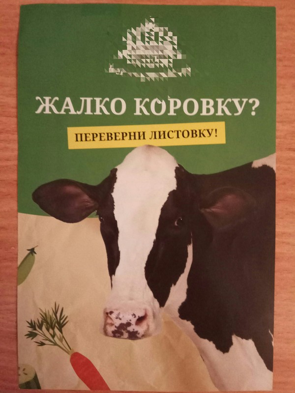 ���� ����������