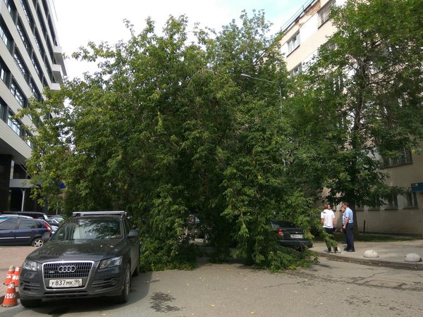 Day, Street, Collection accent. - My, Road accident, Tree, Russia, Car, Longpost