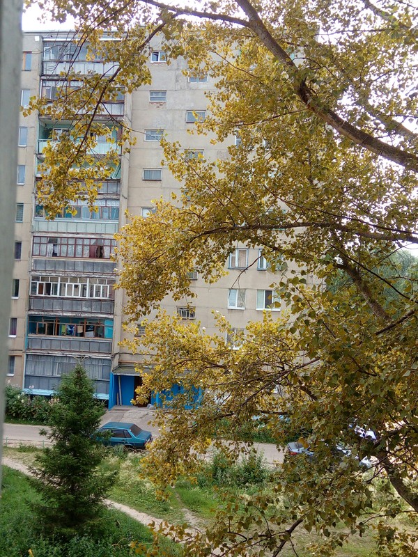 ����� ���������....