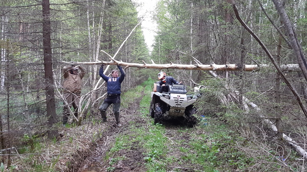 Barrier in the forest))) - My, ATV, Off road, Atv