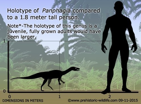 The alphabet of dinosaurs: from Eoraptor to Triceratops. - My, Paleontology, , Dinosaurs, Triassic period, Longpost