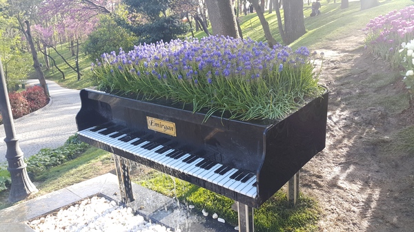 Piano fountain with flowers - My, Istanbul, Piano, beauty