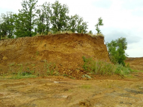 About 300 swift chicks were buried alive by an excavator near Naberezhnye Chelny in the village of Kalmash - news, Animal protection, Flailing, Idiocy, Longpost