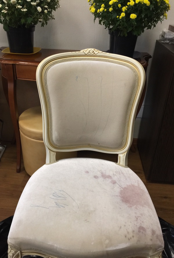 Когда дети не цветы жизни, а кактусы вообще-то