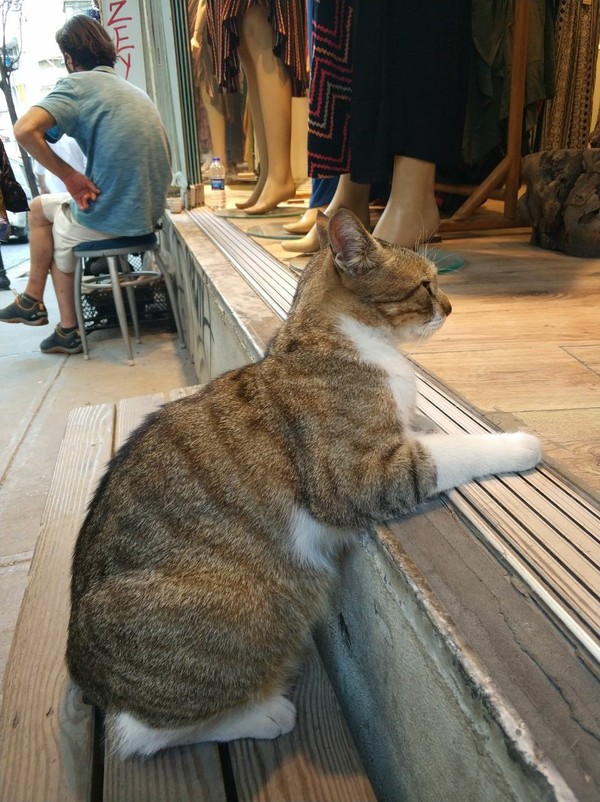   ,  , , 