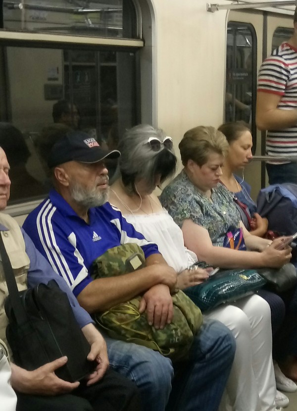 �� ��������� ������ ��������� ������.