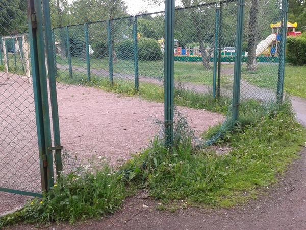 Mini Zenith arena - Saint Petersburg, My, Area, Repair, Rollback, Saw cut, My, Longpost