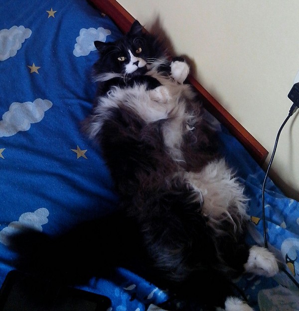 ������� � �������� �������