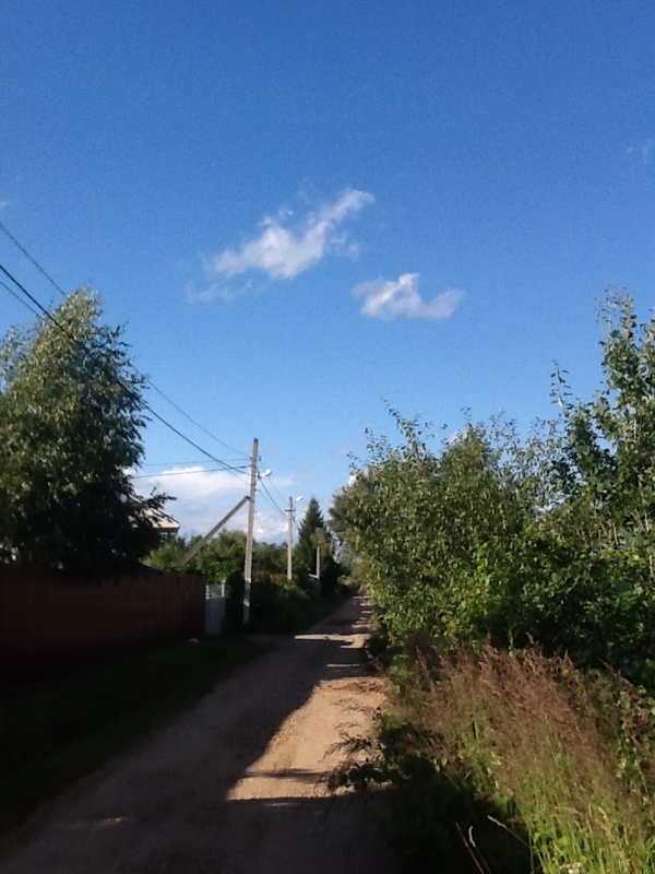 The road to the house. - Summer, Happiness, Not working, Dacha