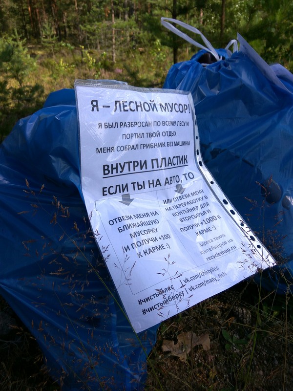 Традиционная уборка в лесу. Насобирал ягод и грибов? Отблагодари лес чистый лес, лес, мусор, берегите природу, раздельный сбор мусора, уборка, длиннопост