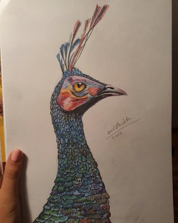 Вот и птичка)