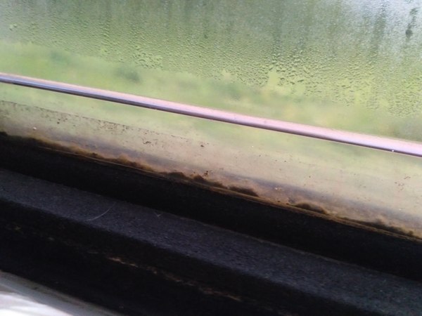 Kovel-Kyiv - My, A train, Aquarium, Reserved seat