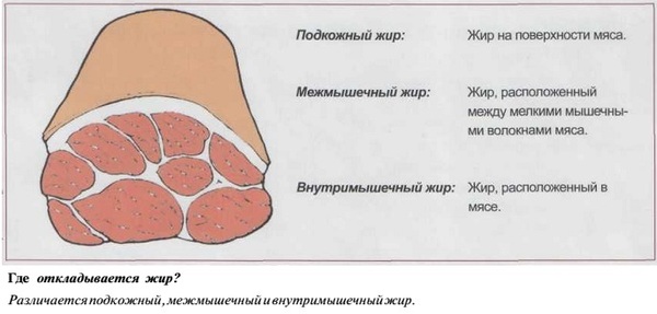      , , ,  , , , ,  , 