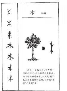 Китайский - простым языком. Для общего понимания. Текст, Длиннопост, Китайский язык, Иероглифы