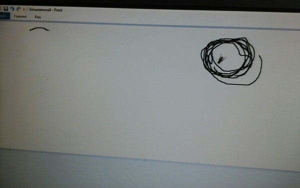 Caught a fly with Paint - My, Trap, Paint, Achievement, Муха