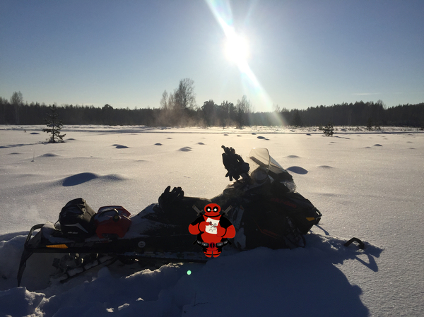 Winter is coming - My, Winter, Snowmobile