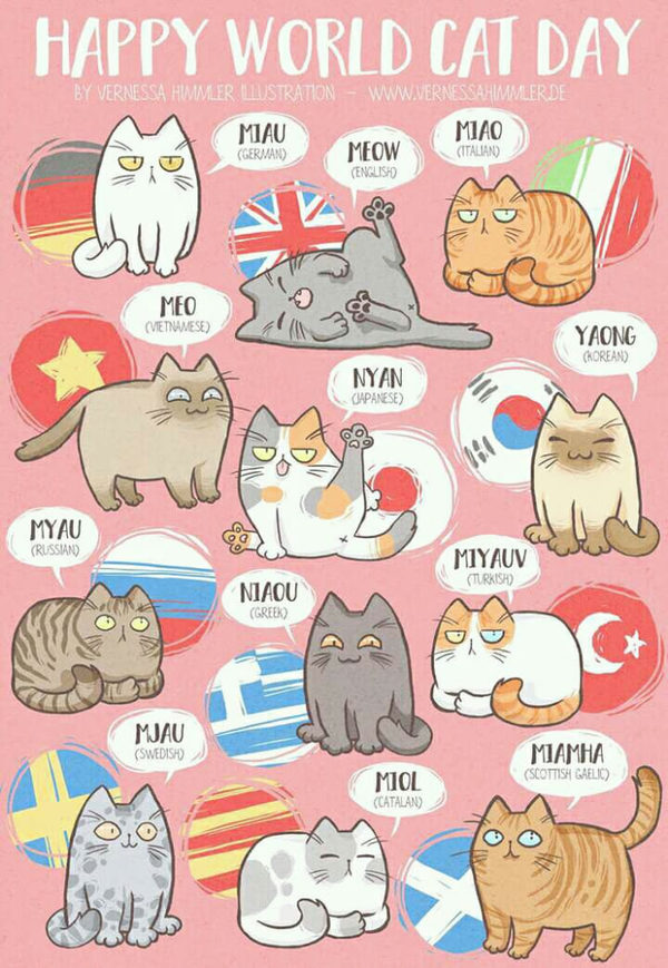 How cats meow in different countries - Foreign languages, cat, Picture with text