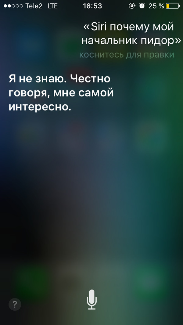 Вопрос дня. - Siri, Моё, Начальство, Начальник