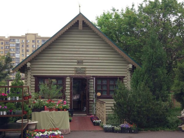 Unusual flower shop. - Flowers, Rostov-on-Don, My