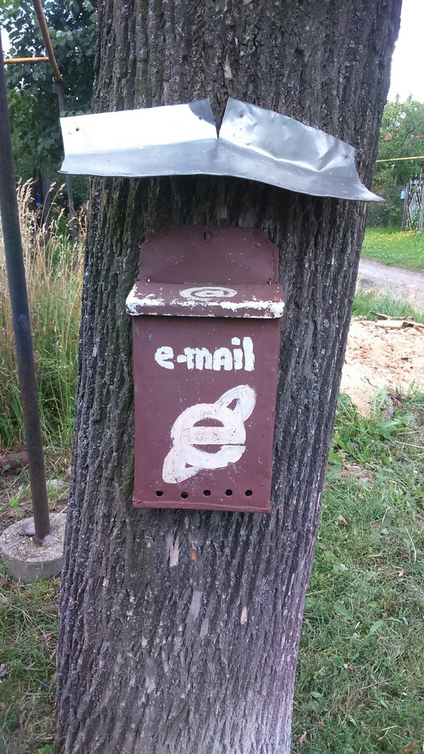 �������� ���� ����� ����