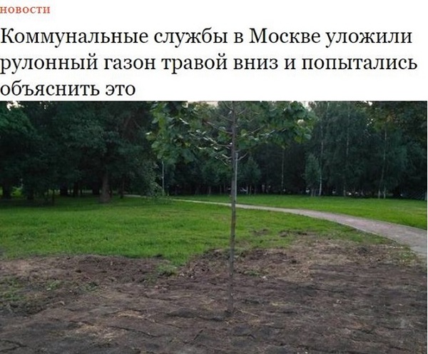 Thanks for reassuring me... - Officials, Sergei Sobyanin, Deer, Lawn, Deer