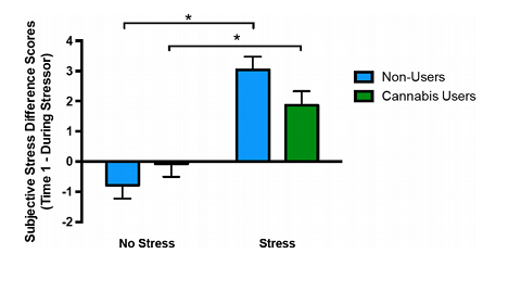 Marijuana improves stress resistance, scientists confirm - Marijuana, Stress, Calmness, Longpost