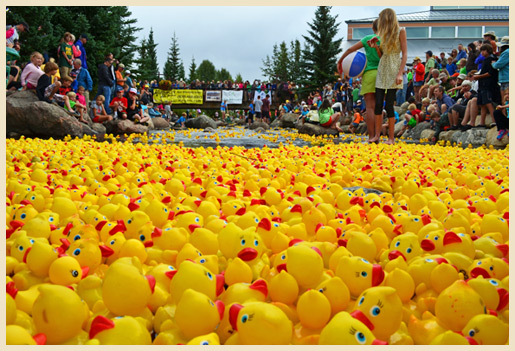 The mayor's office of Arkhangelsk banned a charity event with ducks, seeing notes of protest in it - Politics, Arkhangelsk, Rubber duck