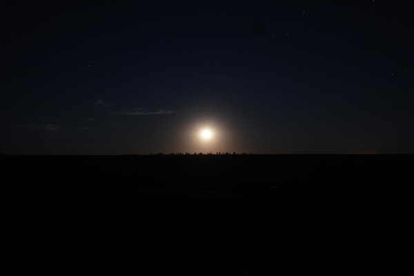Moon rise - My, The photo, moon, Night