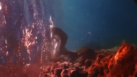 Passed through the portal - Water, Underwater photography, GIF, 