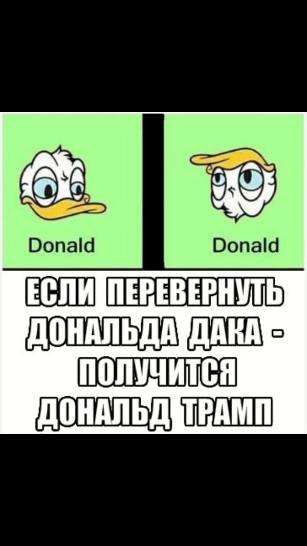 Trump - Duck - Donald Trump, In contact with