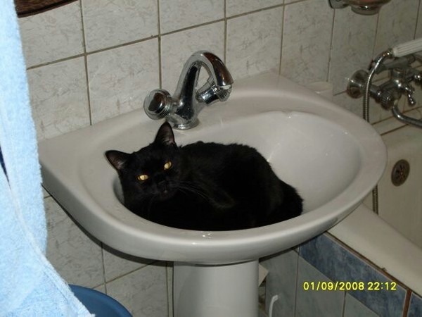   :   . , , -, 