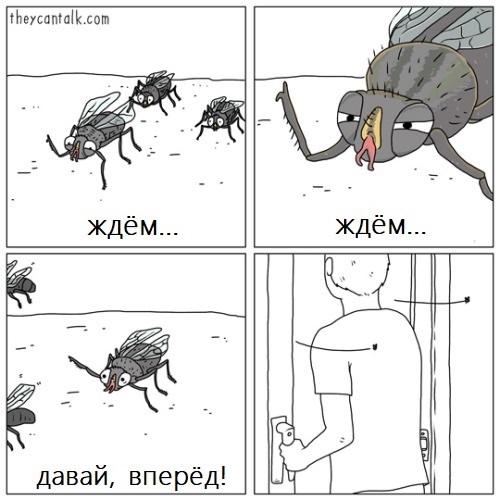 August flies - Comics, Theycantalk, Муха