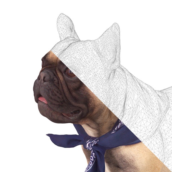 Scanned french bulldog - Vray, 3DS max, Render, My, Dog, Work, Longpost, 3D Scanner, Scanning