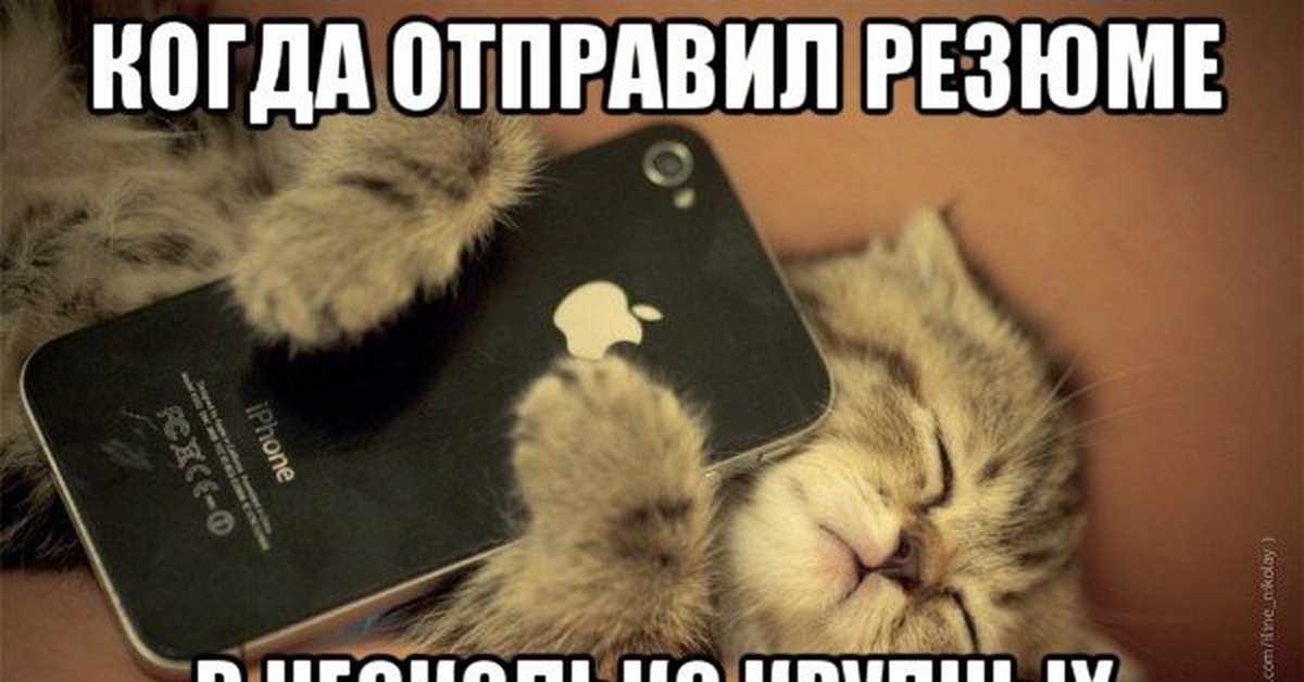 Когда вы это отправить