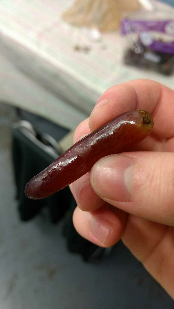 long grape - Reddit, Grape, Ladies' fingers