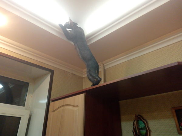 ����� ���� ���� � �����