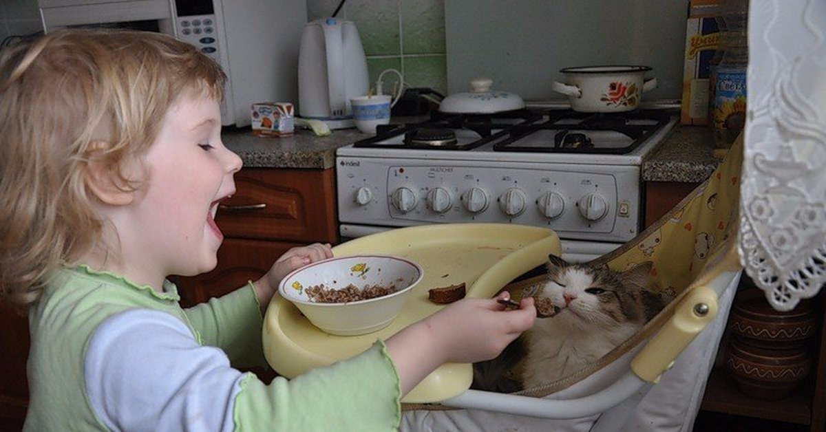 Всех кормит а сама не ест ответ. Дети и животные завтракают. Дети едят с животными. Кошечки и дети на кухне. Ребенок кормит кота.