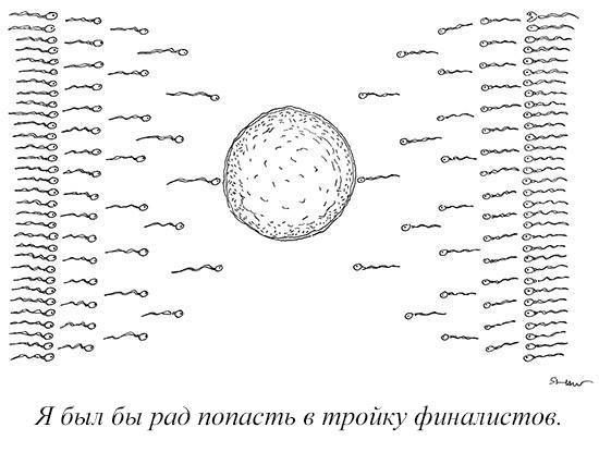 The important thing is not to win but to take part - Comics, The new yorker, New Yorker, Ovum, Sperm