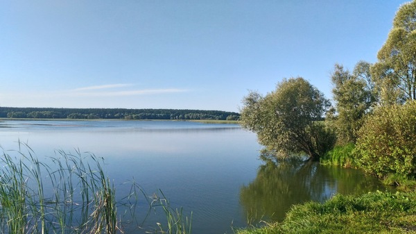 Bay. Beyond the Old Main. - My, Ulyanovsk, Volga river, Landscape