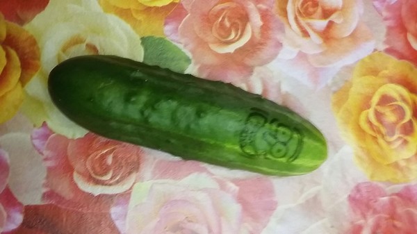 � �������