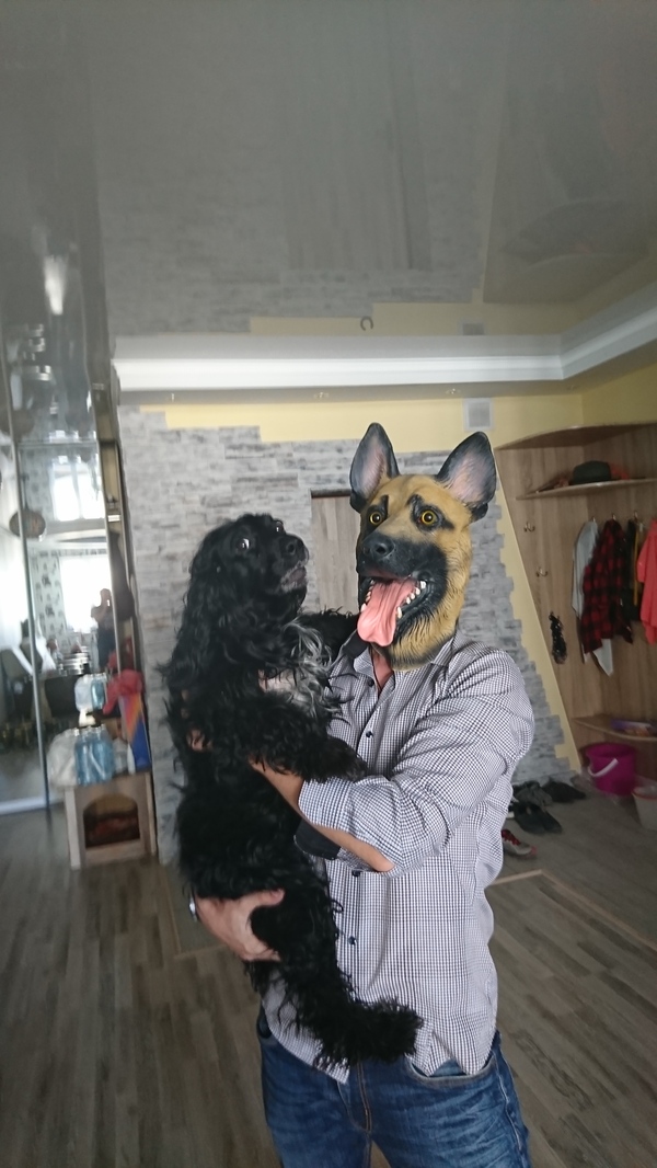   )