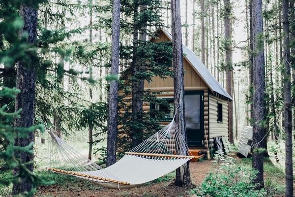 Away from the bustle - House in the woods, Hammock, Cosiness, Silence