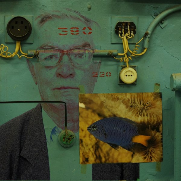 Подскажите, пожалуйста, как сделать такое фото?