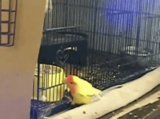 Визит стилиста на дом