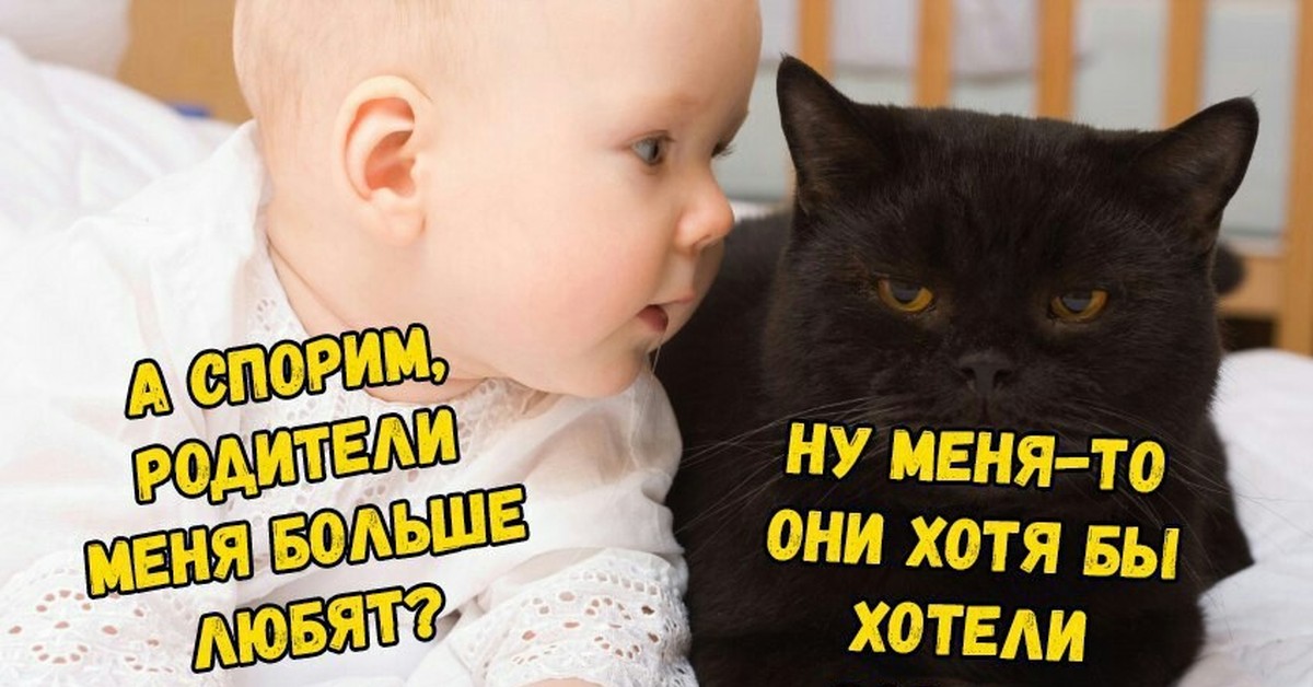 Чем ниже человек душой тем выше. Люди почему-то обижаются когда. Люблю тебя пирожочек. Как на меня они. Как на меня они.