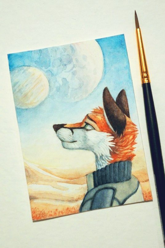 ACEO - Furry, Traditional art, Aceo, A selection, Longpost, Watercolor, , Landscape