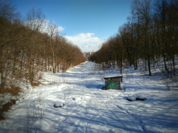 Прошу критики - Моё, Пейзажные фотографии, Кот, Фотография, Фото на тапок, Длиннопост