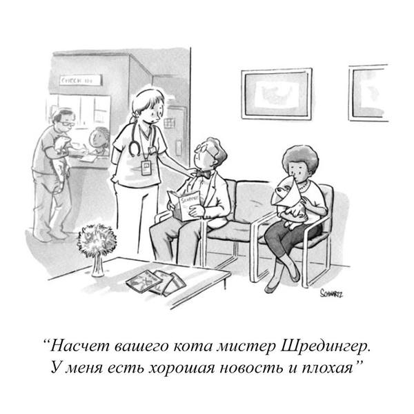 Удивительно, но баянометр молчал - Комиксы, Кот Шредингера, New Yorker, The New Yorker